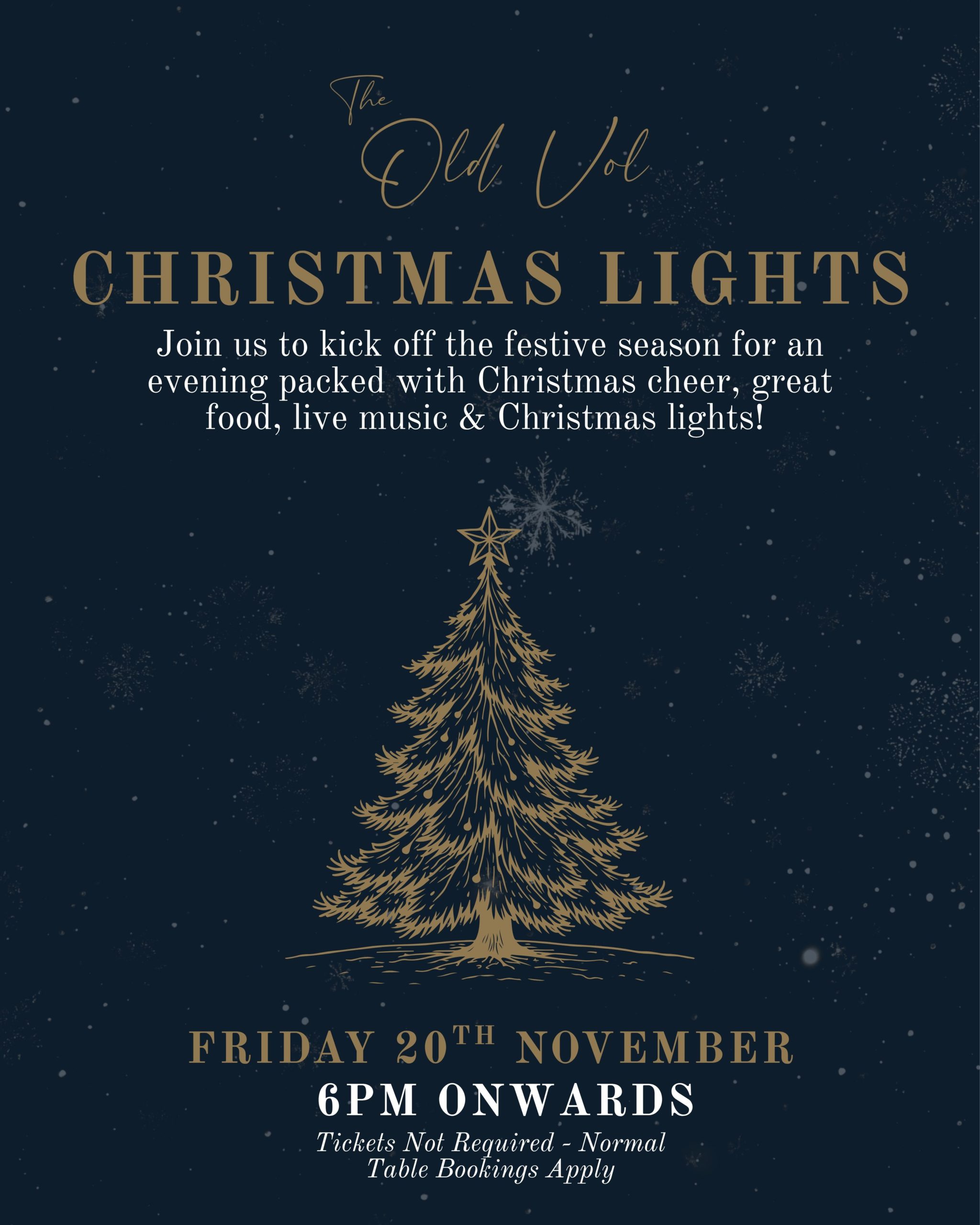 CHRISTMAS LIGHTS